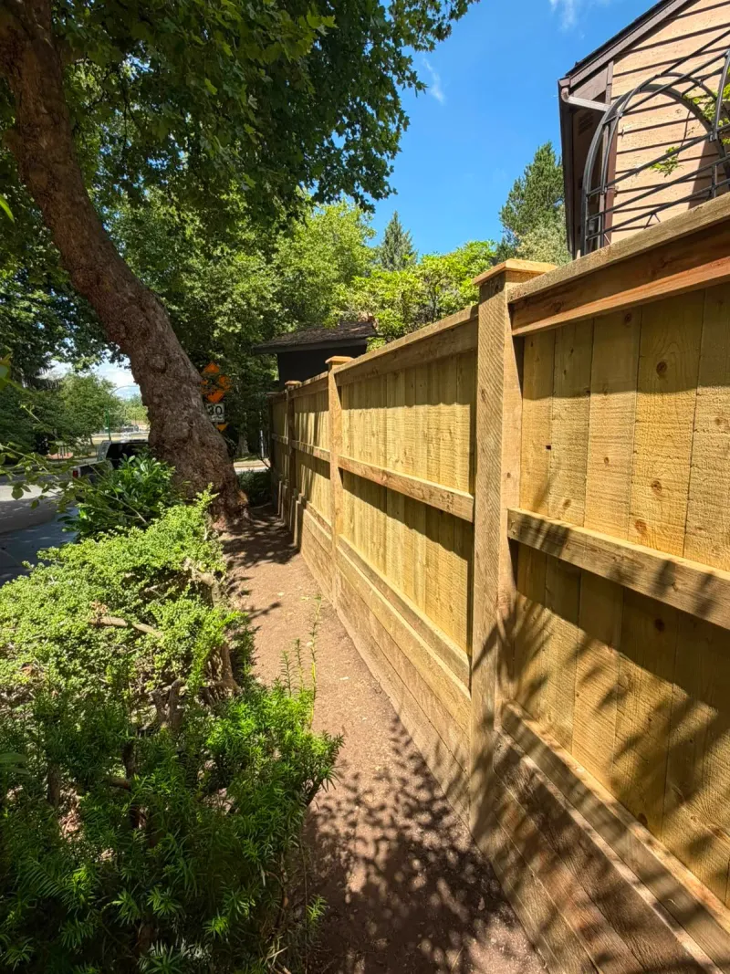 Fences & Privacy Screens