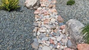 Dry Riverbeds