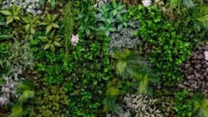 Green Wall
