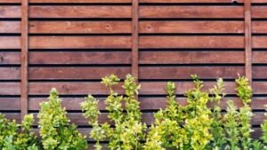 fence 2