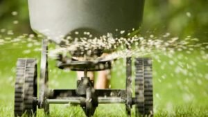 fertilizer