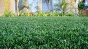 synthetic turf