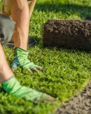 Sod installtion